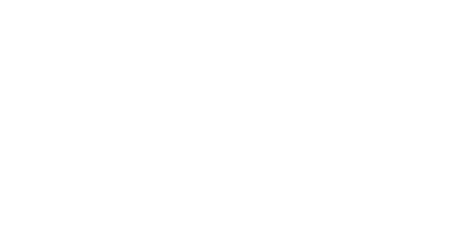 newsky-logo